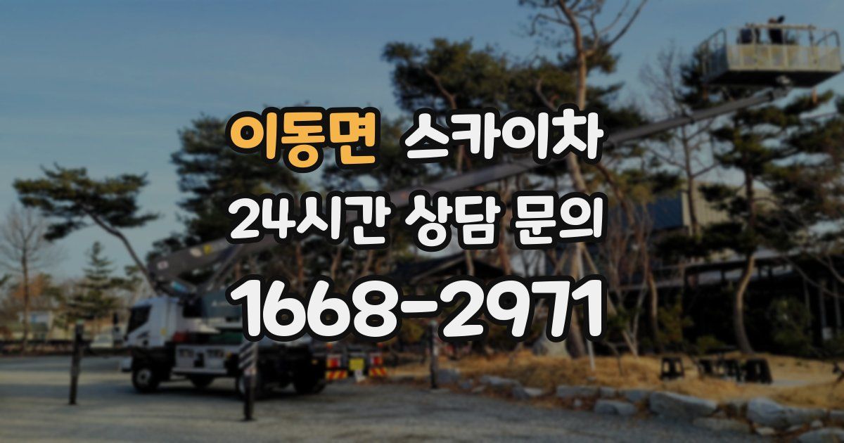 이동면 스카이차