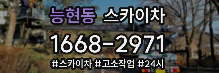 능현동 스카이차