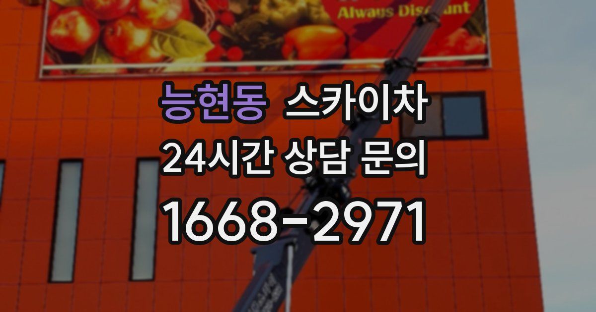 능현동 스카이차