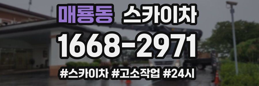 매룡동 스카이차