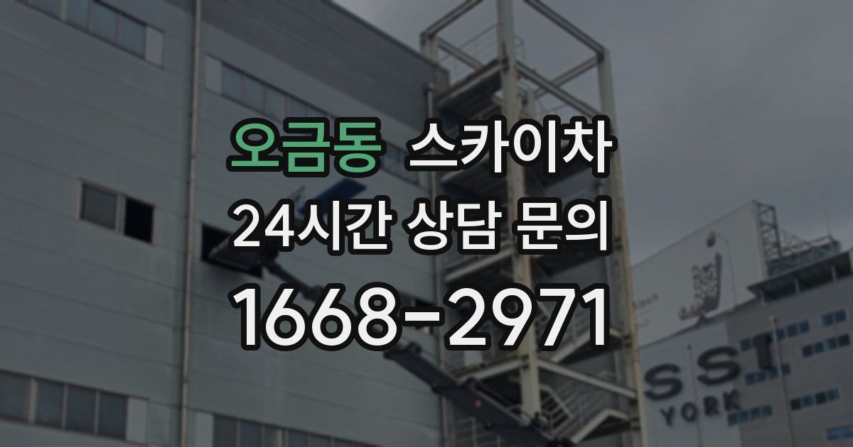 오금동 스카이차