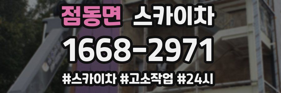 점동면 스카이차