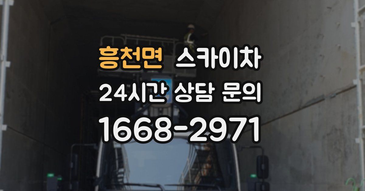 흥천면 스카이차