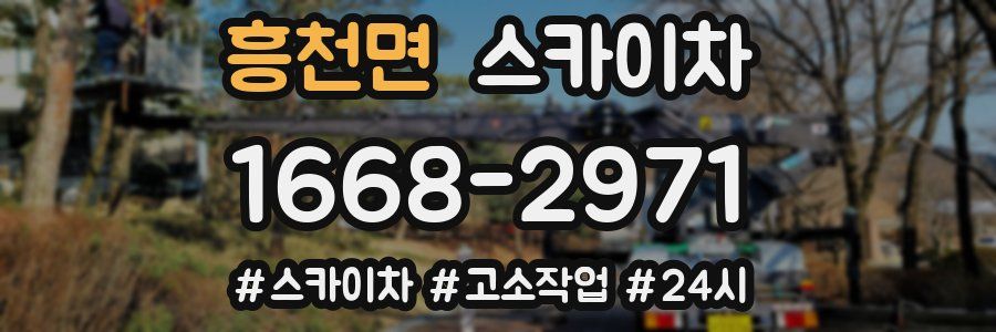 흥천면 스카이차