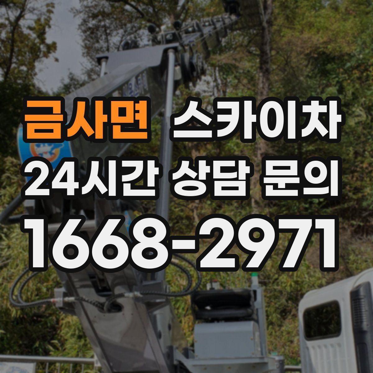 금사면 스카이차