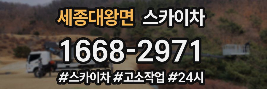 세종대왕면 스카이차