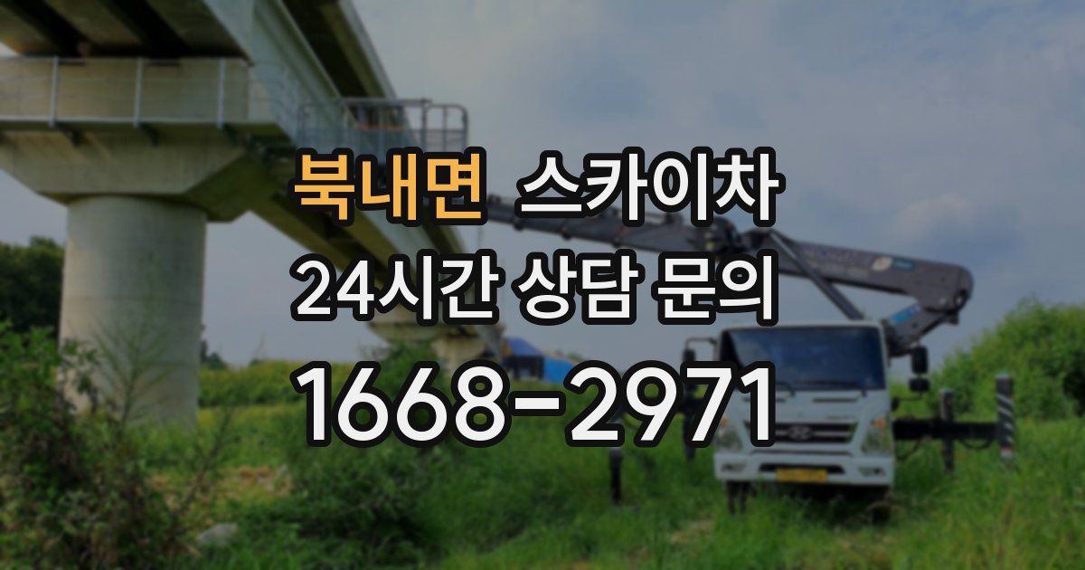 북내면 스카이차