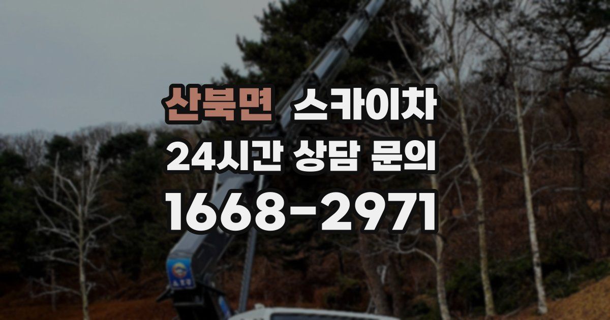 산북면 스카이차