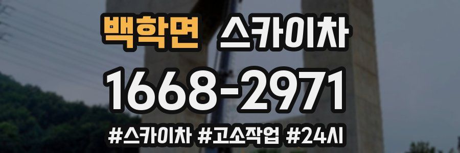 백학면 스카이차