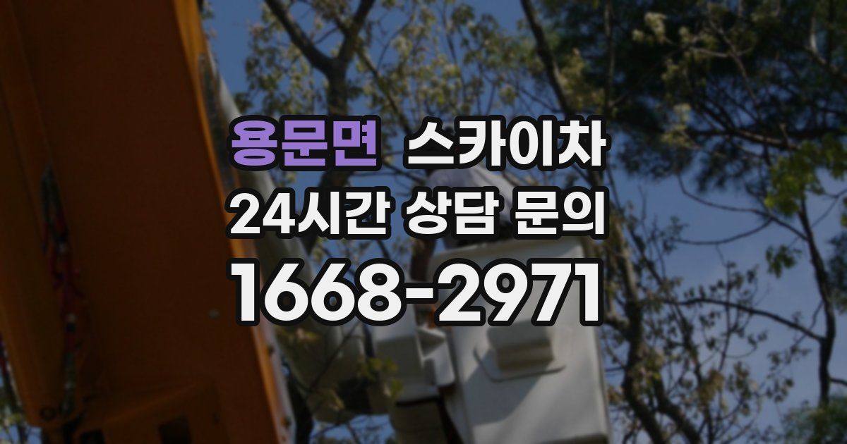 용문면 스카이차