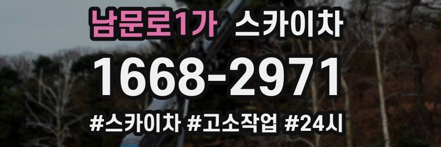 남문로1가 스카이차