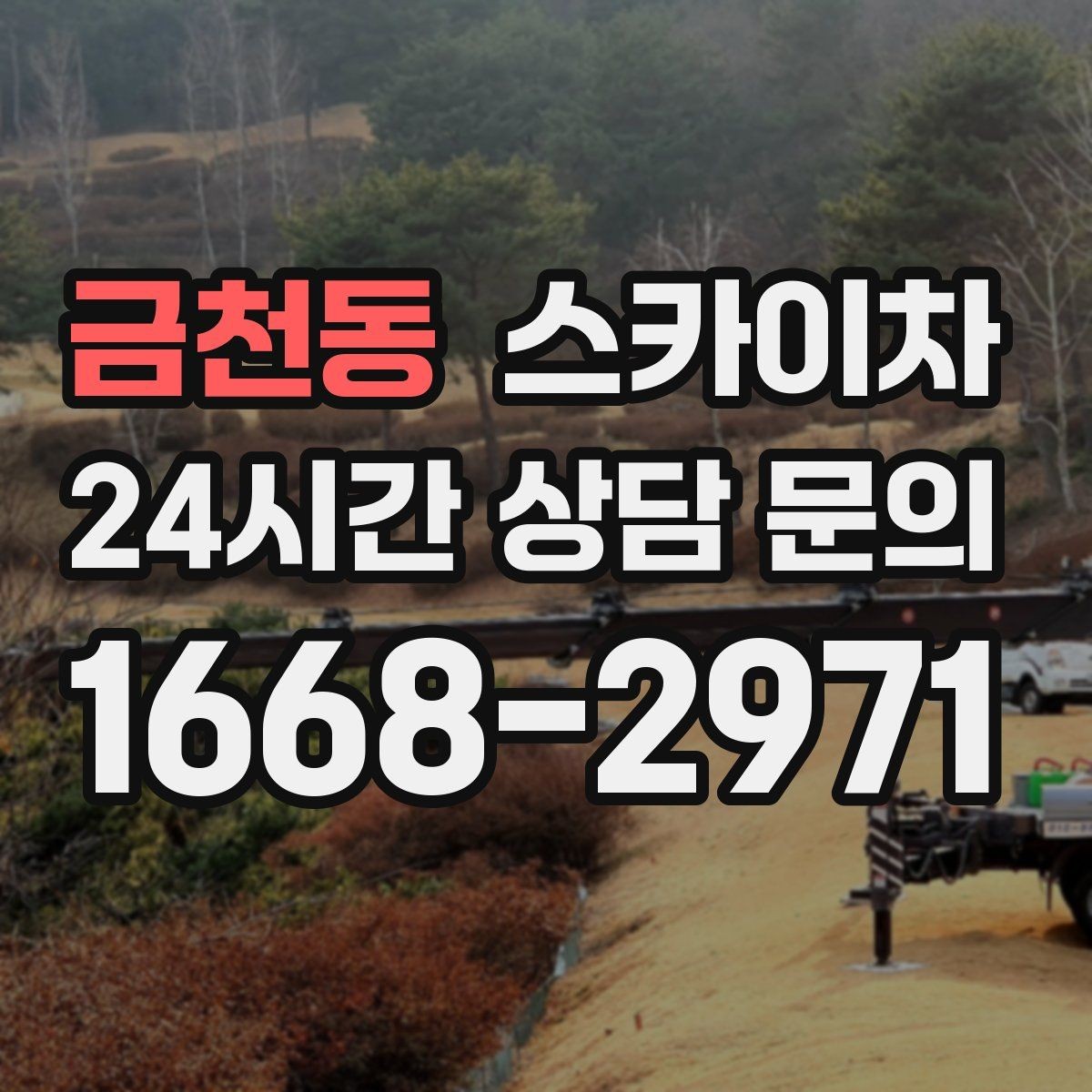 금천동 스카이차 작업 높이에 맞는 장비 선택 방법