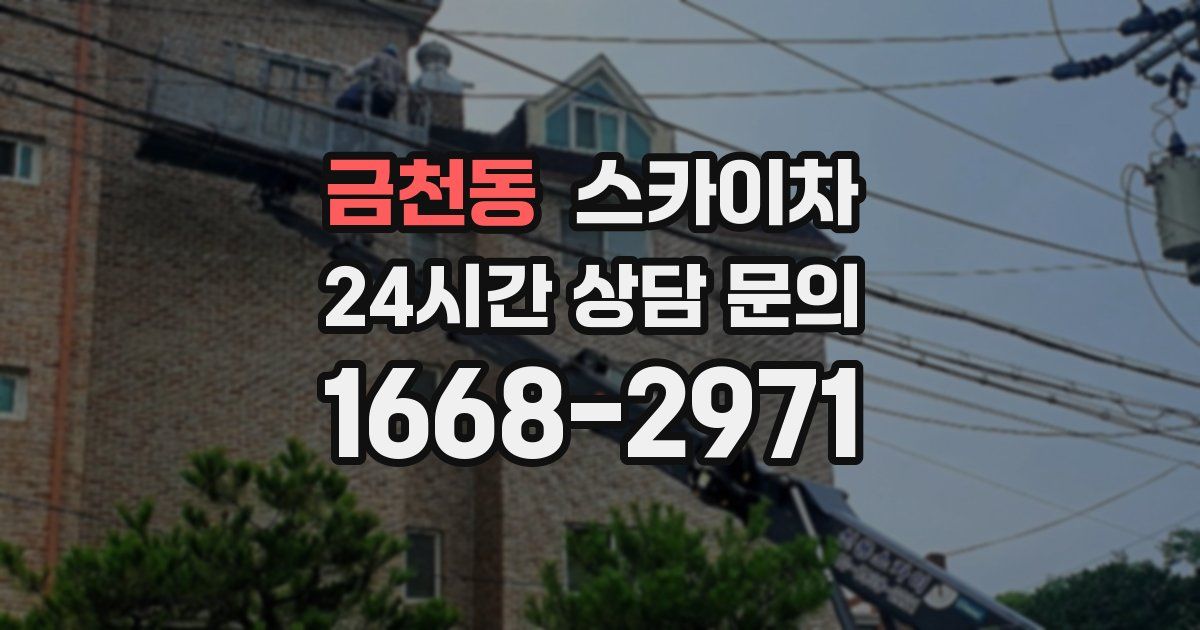 금천동 스카이차