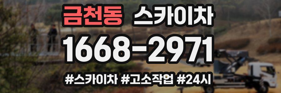 금천동 스카이차