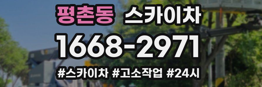 평촌동 스카이차