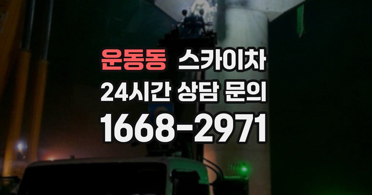 운동동 스카이차