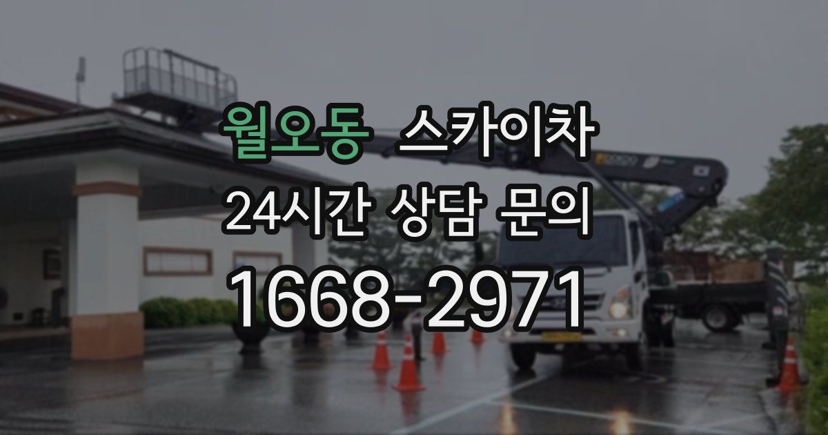 월오동 스카이차