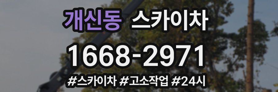 개신동 스카이차