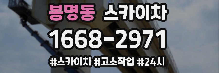 봉명동 스카이차