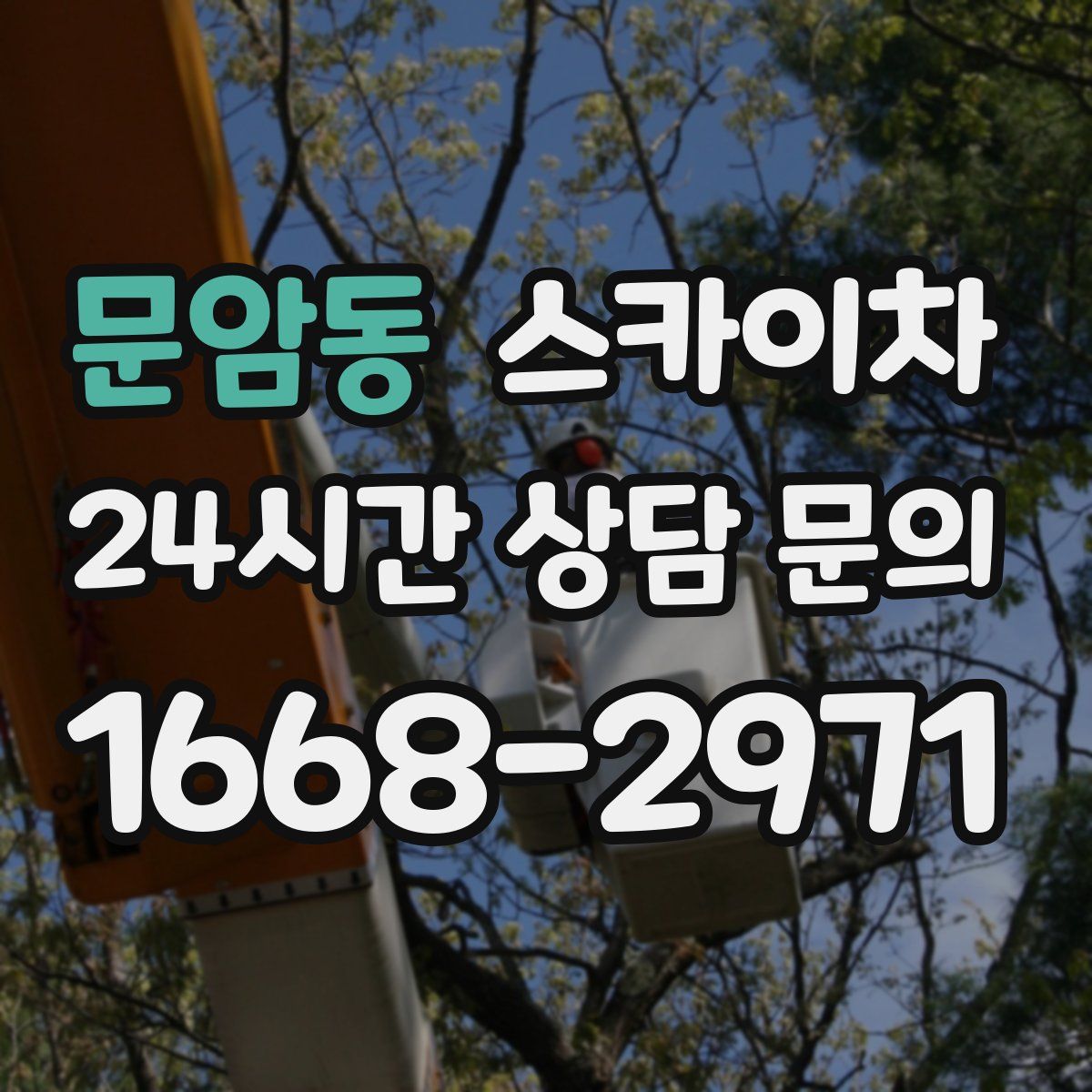 문암동 스카이차