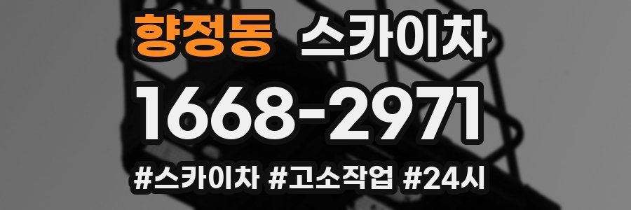 향정동 스카이차