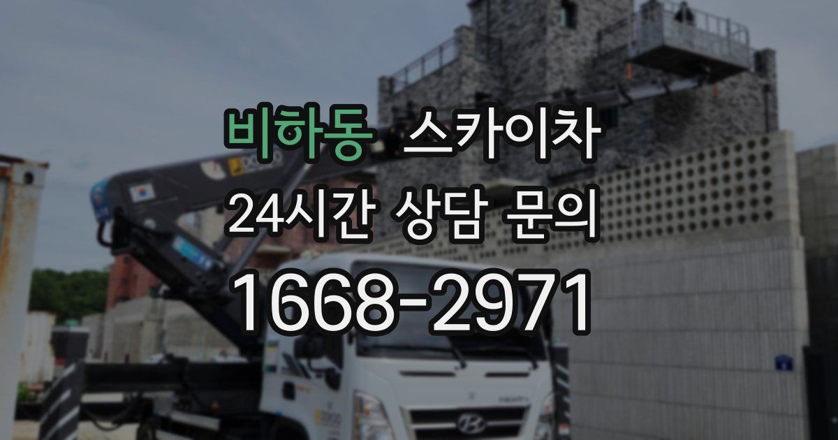 비하동 스카이차