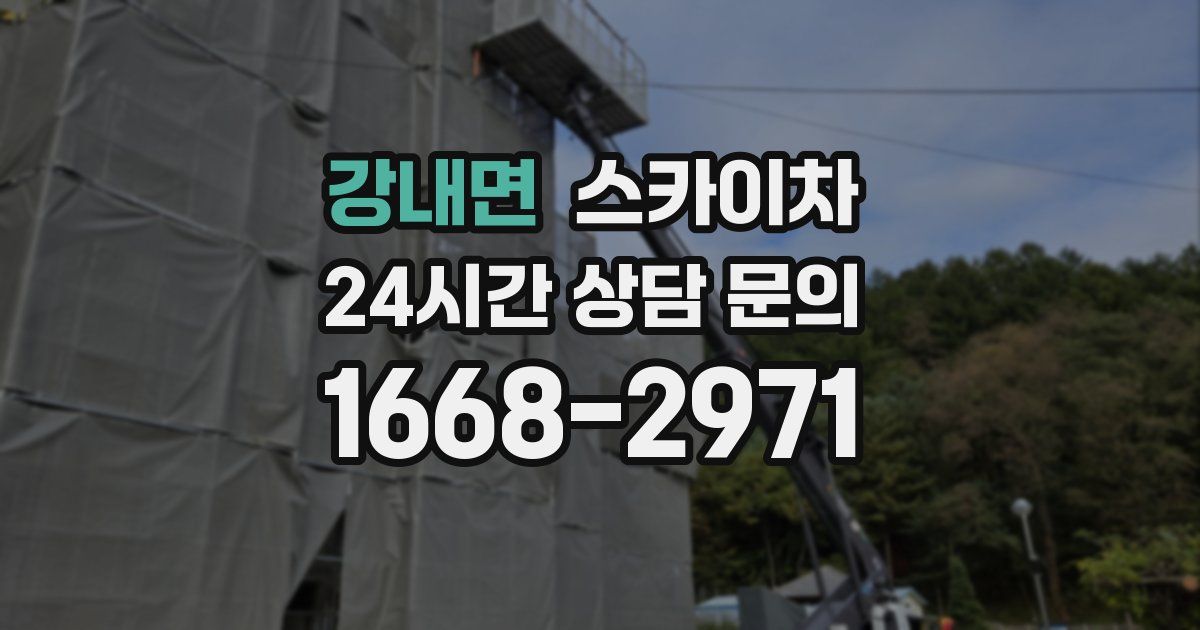 강내면 스카이차