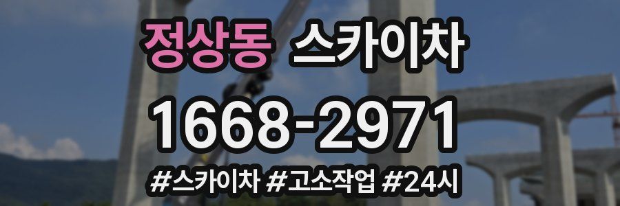 정상동 스카이차