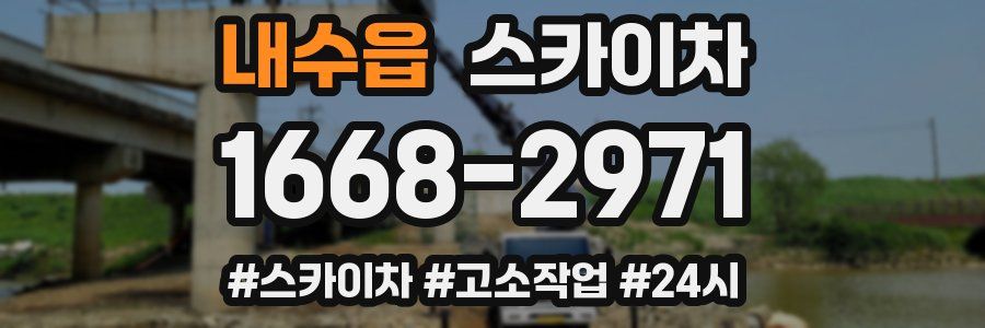 내수읍 스카이차