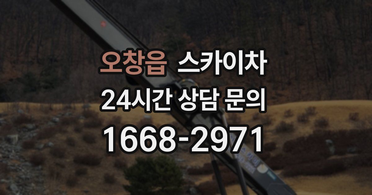 오창읍 스카이차