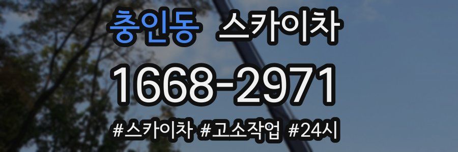 충인동 스카이차