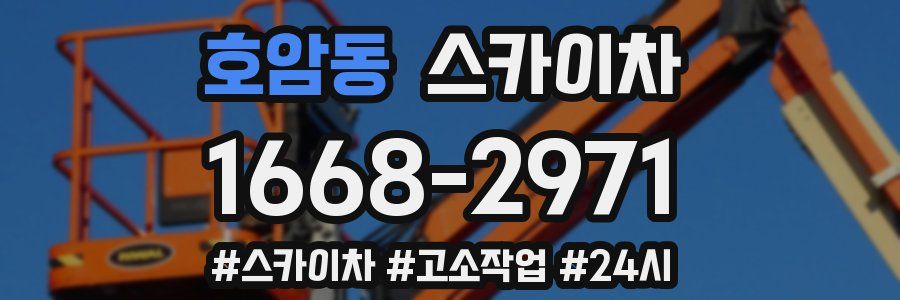 호암동 스카이차