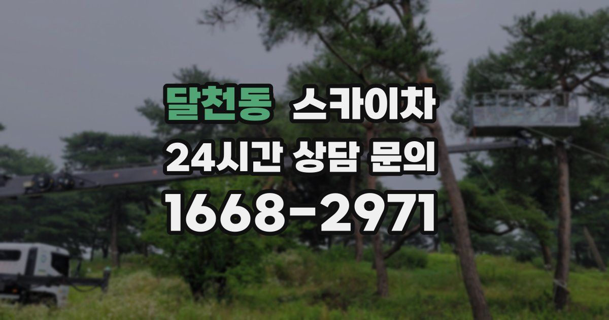 달천동 스카이차