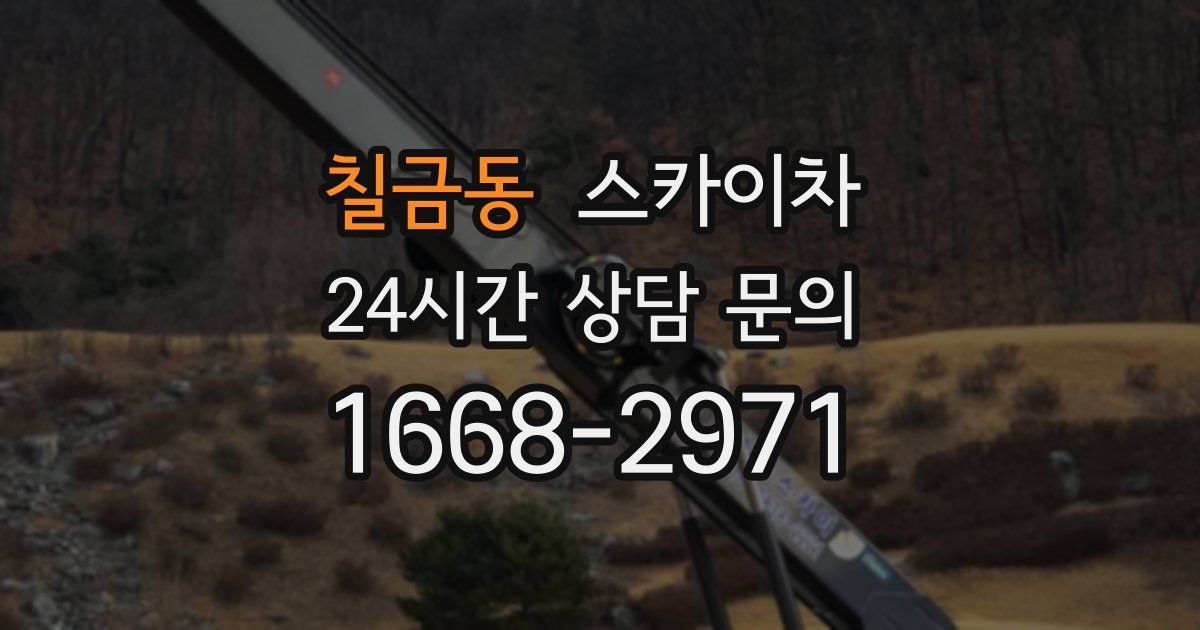 칠금동 스카이차