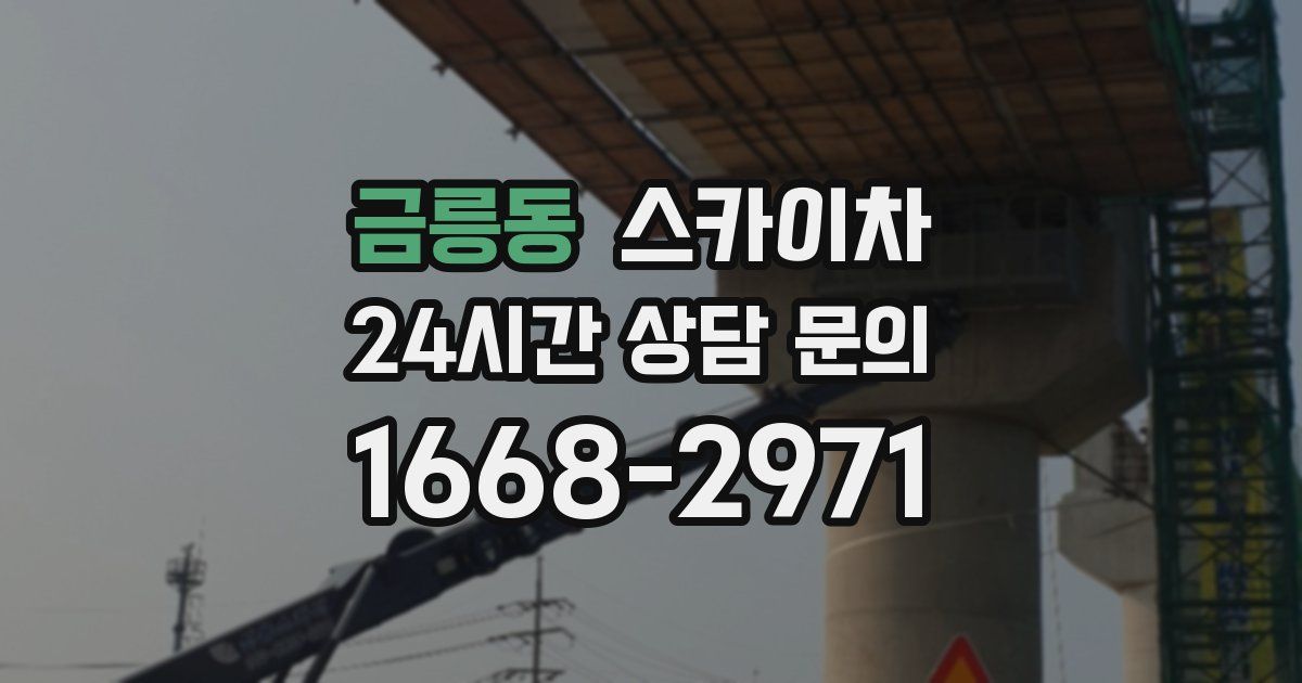 금릉동 스카이차