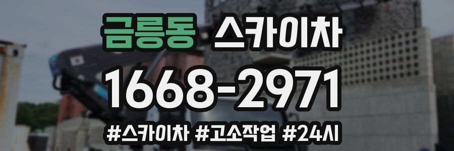 금릉동 스카이차