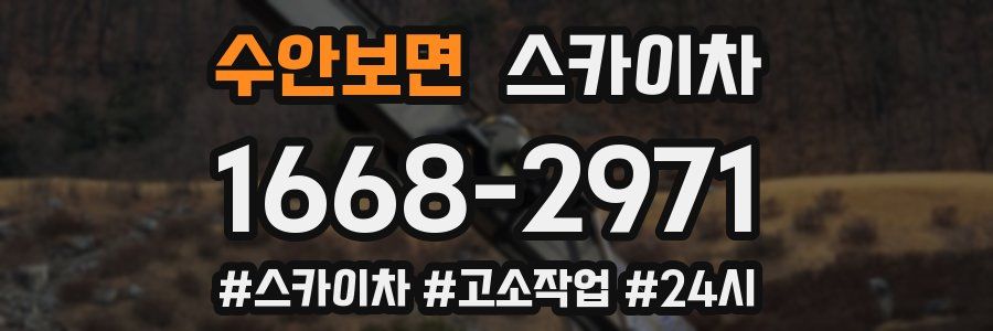 수안보면 스카이차