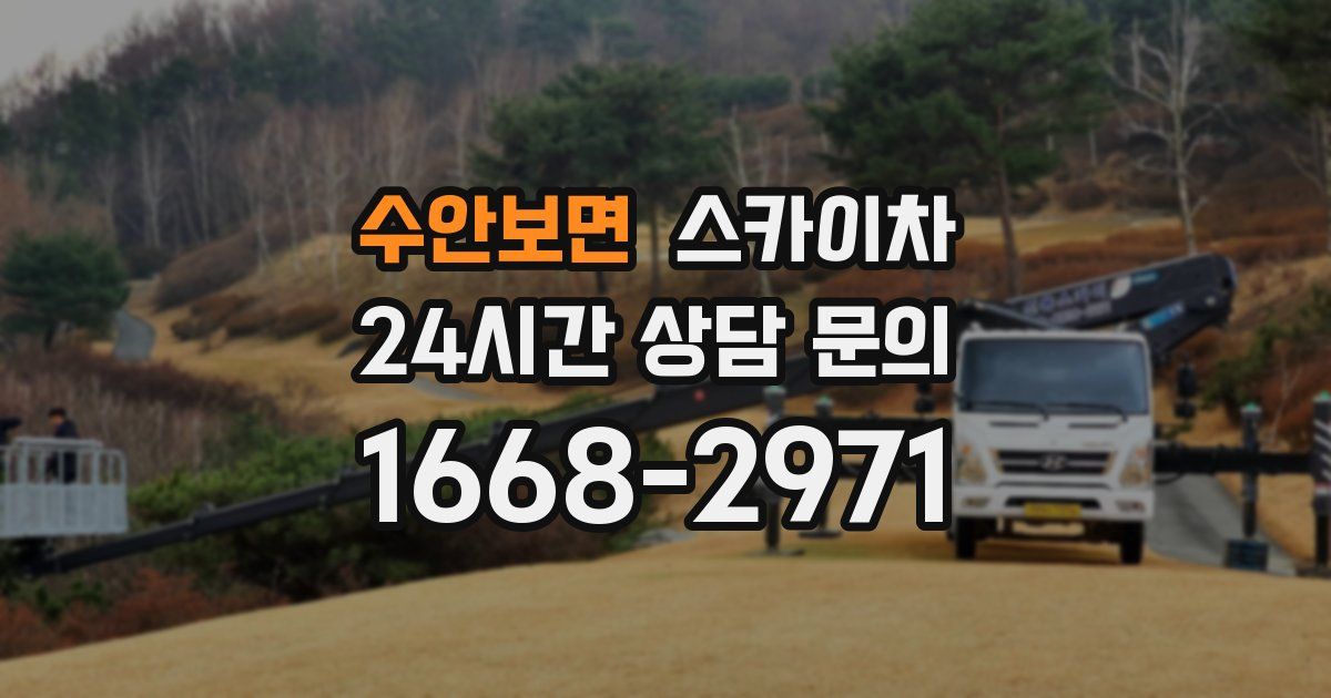 수안보면 스카이차