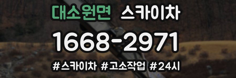 대소원면 스카이차