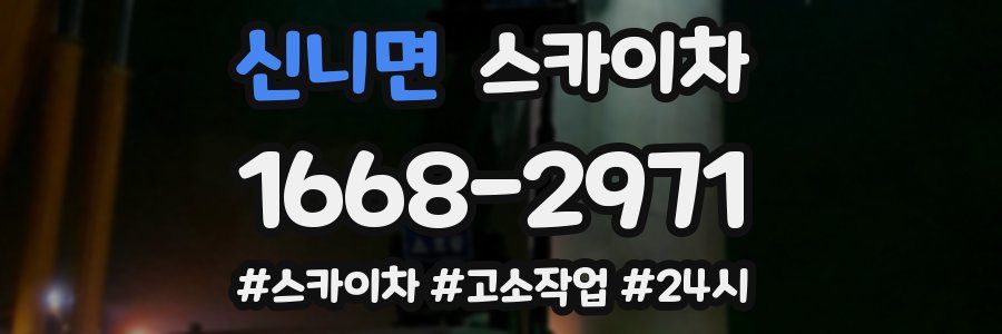 신니면 스카이차