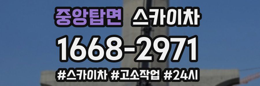 중앙탑면 스카이차