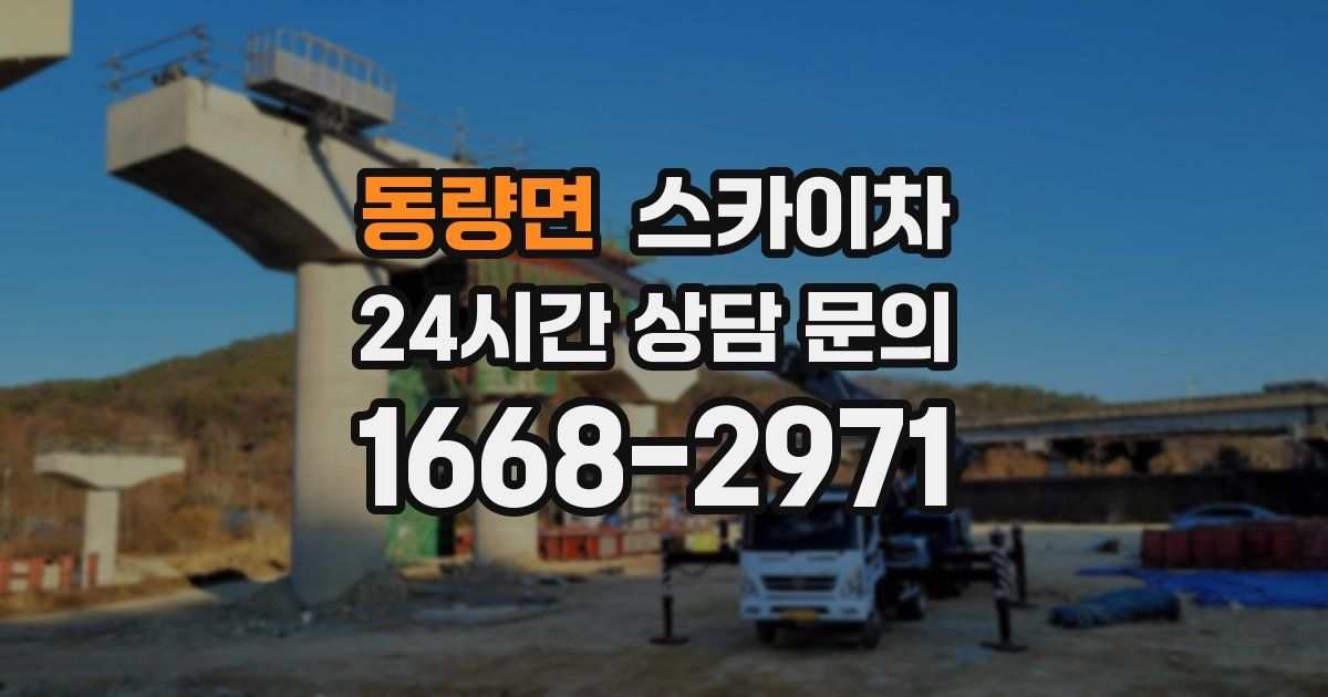 동량면 스카이차