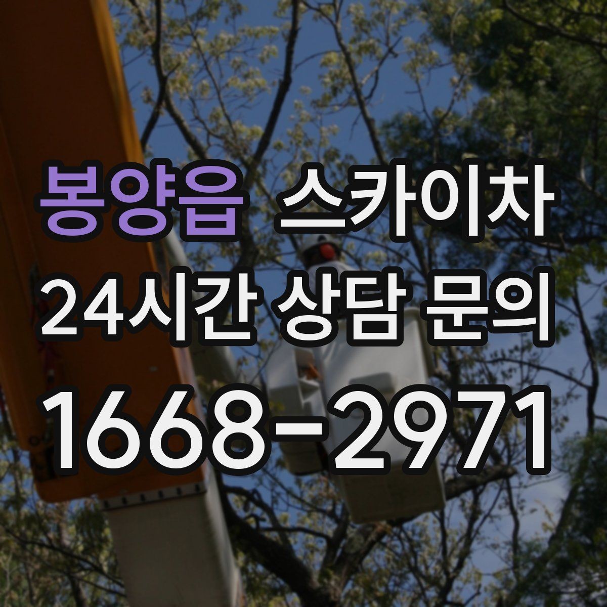 봉양읍 스카이차 작업 반경이 비용에 영향을 주는 이유