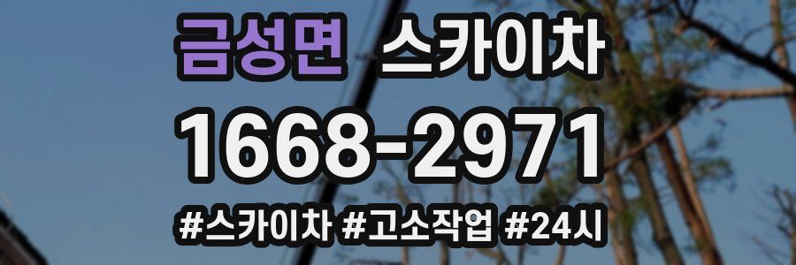 금성면 스카이차