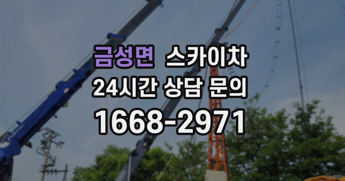 금성면 스카이차