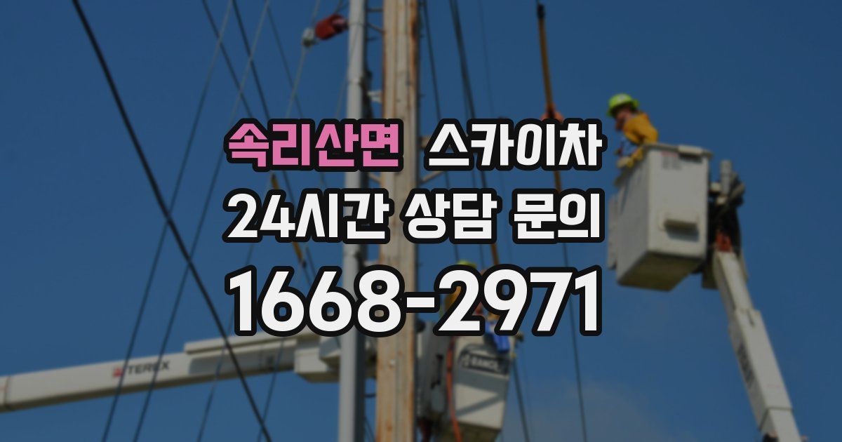 속리산면 스카이차