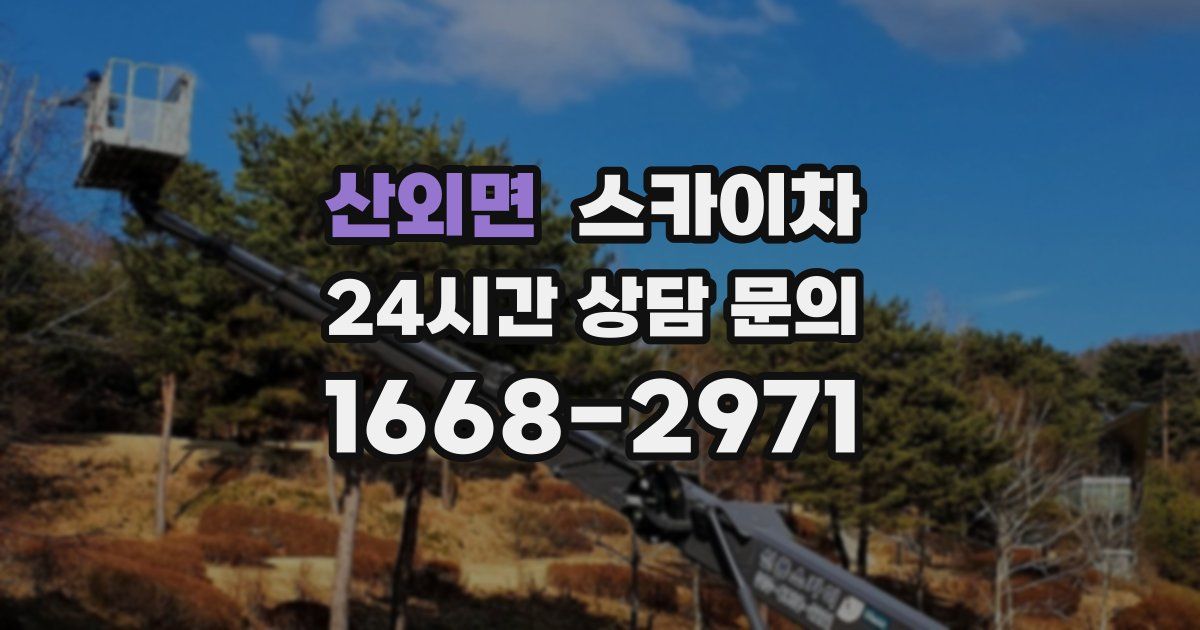 산외면 스카이차