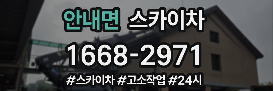 안내면 스카이차