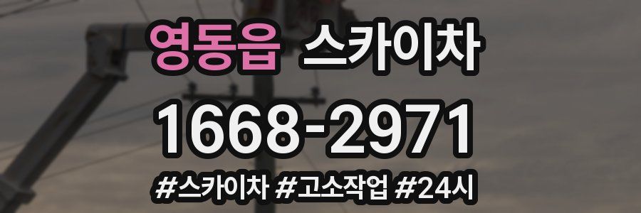 영동읍 스카이차