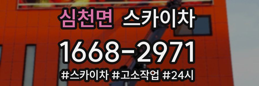 심천면 스카이차